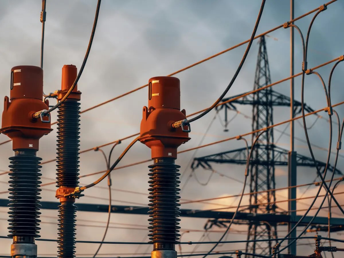 Transformer sprouts and telephone poles